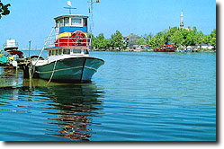 Sakarya Yeni Mahalle