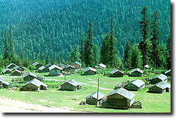 Sakarya Dikmen Yaylas